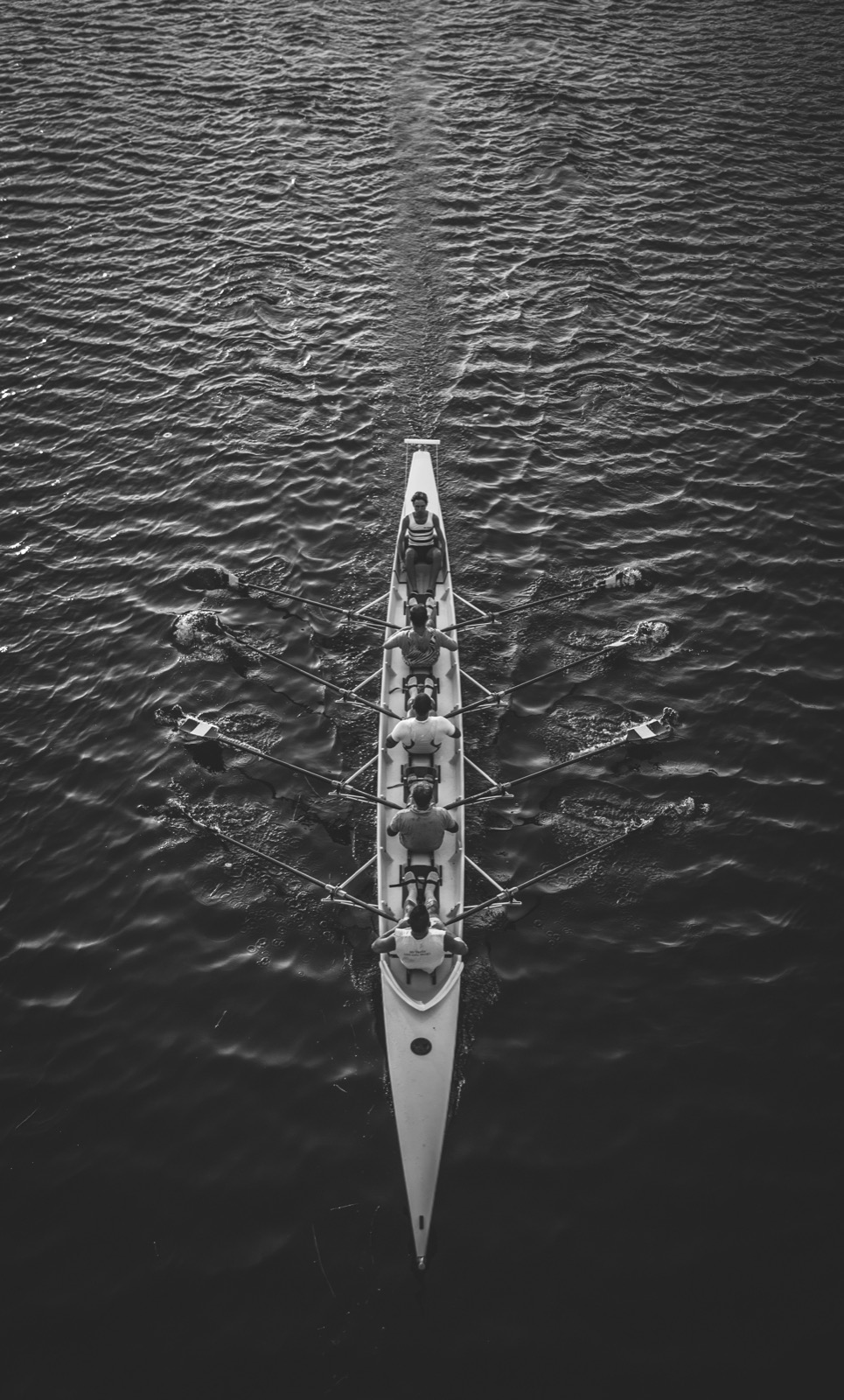 A rowing crew pulling in unison